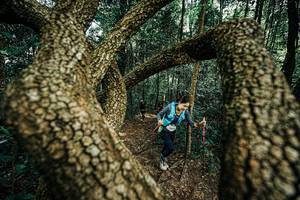 BIB: 
                            <button type="button" onclick="openModal(25394064)" class="btn btn-primary btn-sm float-right btn-popup" data-toggle="modal" data-target=".modal-high-quality">
                        <i class="fas fa-shopping-cart"></i> Add to Cart
                    </button>
                                            <button type="button" onclick="isThisMe(25394064, true)" class="btn btn-success btn-sm float-right btn-popup btn-isme hidden" data-toggle="tooltip" data-placement="bottom" title="นี่คือรูปของคุณใช่ไหม คลิกที่นี่เพื่อเอาเข้าอัลบั้ม">
                        <i class="fas fa-plus"></i> Add to album
                    </button>
                    <button type="button" onclick="isThisMe(25394064, false)" class="btn btn-warning btn-sm float-right btn-popup btn-isnotme hidden">
                        <i class="fas fa-ban"></i> Remove from album
                    </button>